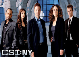 CSI:NY seasons 1-8 dvd image 002