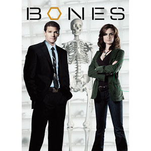 Bones Seasons 1-8 DVD Boxset