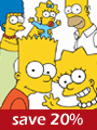 The Simpsons Seasons 1-19 DVD Boxset
