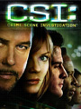 CSI Lasvegas Seasons 1-10 DVD Boxset