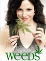Weeds Season 1-6 DVD Boxset