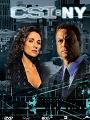 CSI: NY Season 7 DVD Boxset