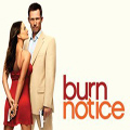 Burn Notice Season 5 DVD Boxset