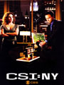 CSI: NY Seasons 1-8 DVD Boxset