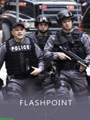 FlashPoint Seasons 1-4 DVD Boxset