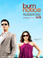 Burn Notice Seasons 1-5 DVD Boxset