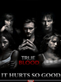 True Blood Seasons 1-5 DVD Boxset