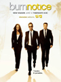 Burn Notice Season 6 DVD Boxset