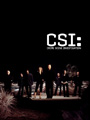 CSI Lasvegas Season 13 DVD Boxset