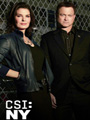CSI: NY Season 9 DVD Boxset