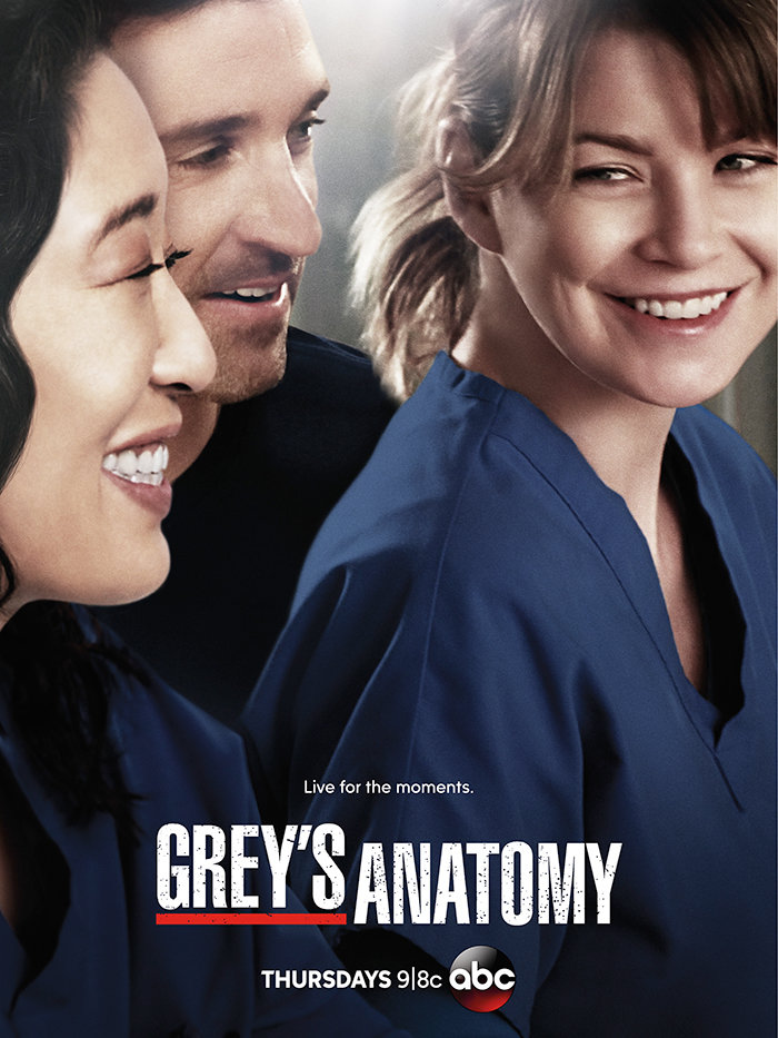Grey's Anatomy Seasons 1-10 DVD Boxset