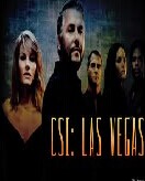 CSI Lasvegas Seasons 1-14 DVD Boxset