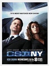 CSI: NY Seasons 1-9 DVD Boxset