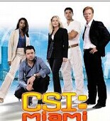CSI Miami Seasons 1-10 DVD Boxset