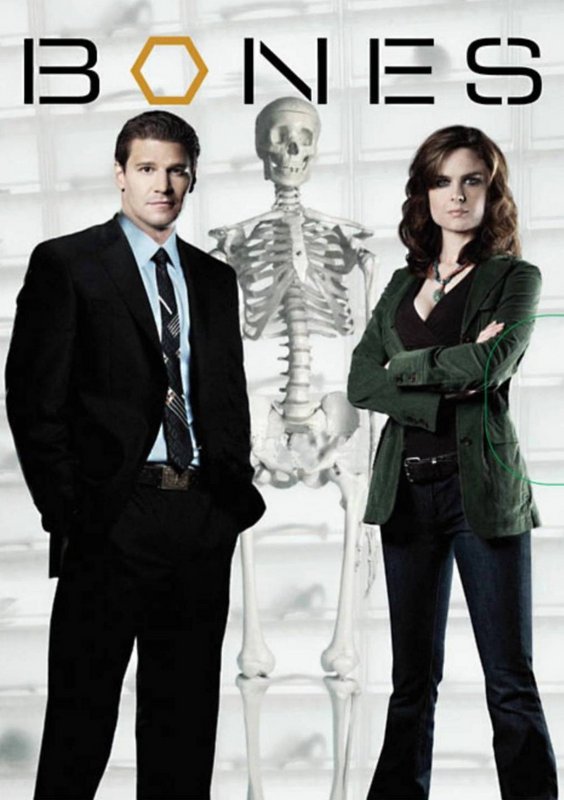 Bones Seasons 1-9 DVD Boxset