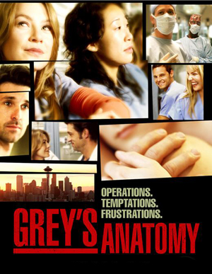 grey's anatomy seasons 1-6 dvd